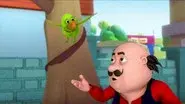 Mimicry Parrot still
