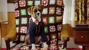 Tell Us About Your Human Day still