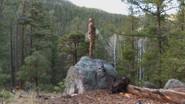 Conservation History: New Mexico Turkey still