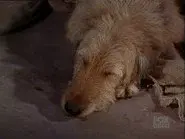 Any Friend of Walter's still