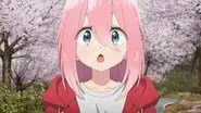 Touring and Checking Out the Cherry Blossoms still