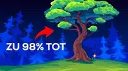Trees Are So Weird still