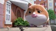 Hamster Disaster still
