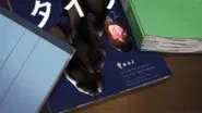 Ear Pick Tights still