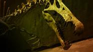 Bigger Than T. rex still