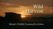 Wild Harvest still