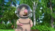 When a Pig Flies still