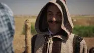 Afghan therapy still