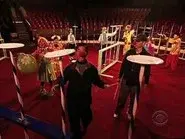 I Want to Be in the Circus, That's Where I Belong still