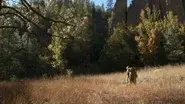 Gila Monster: New Mexico Bull Elk still