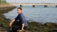 Veritas still