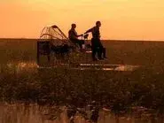 Golden Parachute still