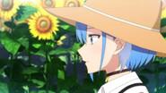 The Meaning Behind Sunflowers still