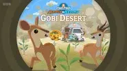 Gobi Desert still
