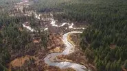 Mississippi still