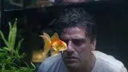 The Goldfish Problem still