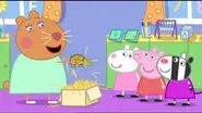 Doctor Hamster's Tortoise still