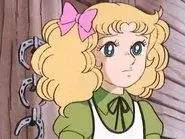 The Barn Princess still