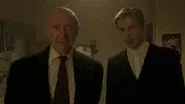 Willsmania still