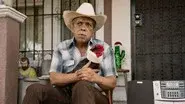 The Rooster still