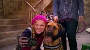 Lindy Goes to the Dogs! still