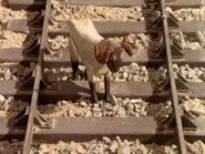 Baa! still