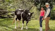 Episode 10 still