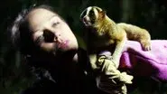 Jungle Gremlins of Java still