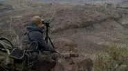The Roughest Country: Texas Aoudad Sheep still