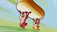 Too Late To Hibernate / Sorry Nut Sorry / Never Trust A Sausage still