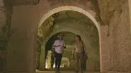The Top Ten Extraordinary Discoveries still