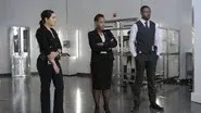 Authentic Flirt still