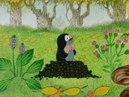 The Mole and the Swallow still