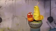 Cavity still