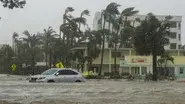 Category 5: Fight to Survive still