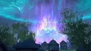 The tiny Buddha fury Lotus still