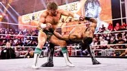 NXT #762 still