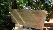 Canopy Island Camp-WRONG SEASON still