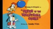 Order in Volleyball Court still