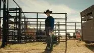 Saddle Up still