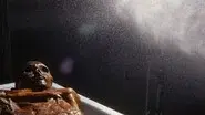 Iceman Reborn still
