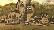The Kingdom of Nature still