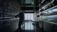 Hong Kong still