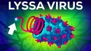 The Deadliest Virus on Earth still