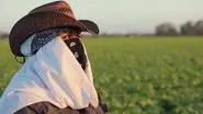 Rape in the Fields still