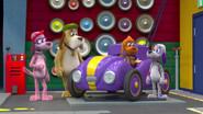 Show Dog, Show still