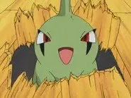 You're a Star, Larvitar! still