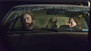 Strays still