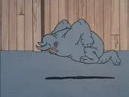 Rhino still