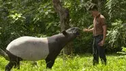 Weird and Wonderful still